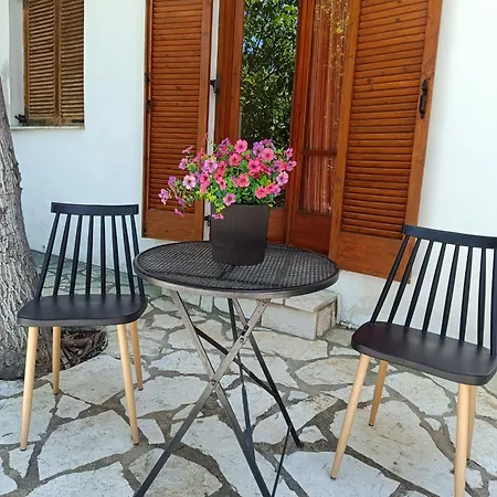 Delphion House Appartement *